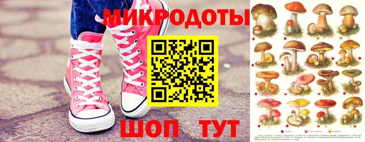 Псилоцибиновые грибы прущие грибы Ачинск