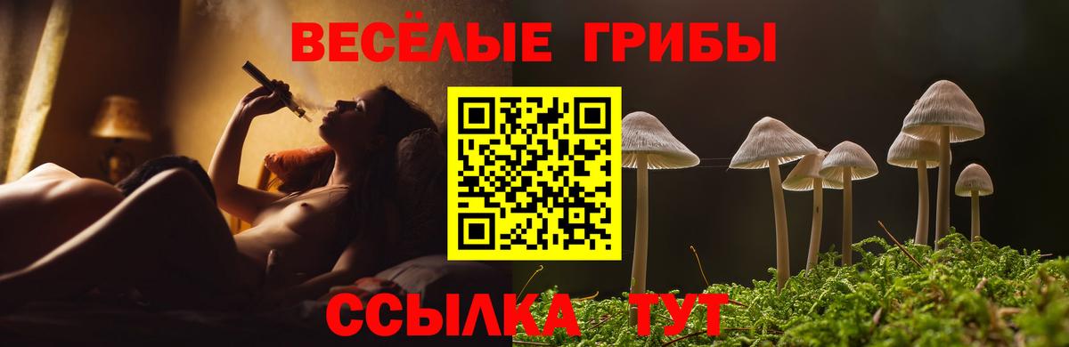 Ачинск  Галлюциногенные грибы MAGIC MUSHROOMS  Вход с VPN  Галлюциногенные грибы Cubensis 